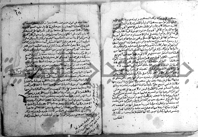 مجموع - كتاب اضاءات 