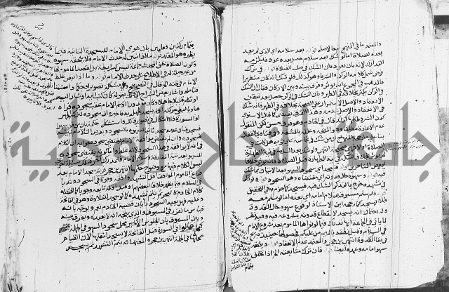 الزيادي على المنهج 