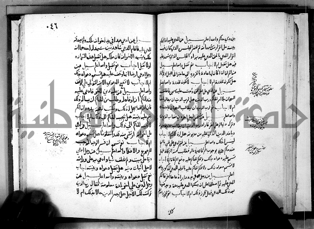 الفتاوى الامينية