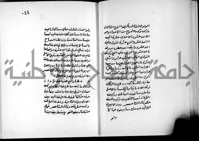 شرح شذور الذهب في معرفة كلام العرب 