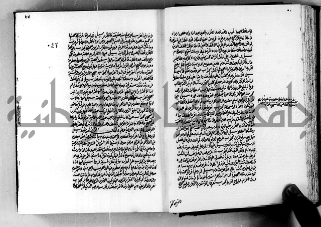 الجواهر الدورية في تنقيح الفتاوى الحامدية ج2 