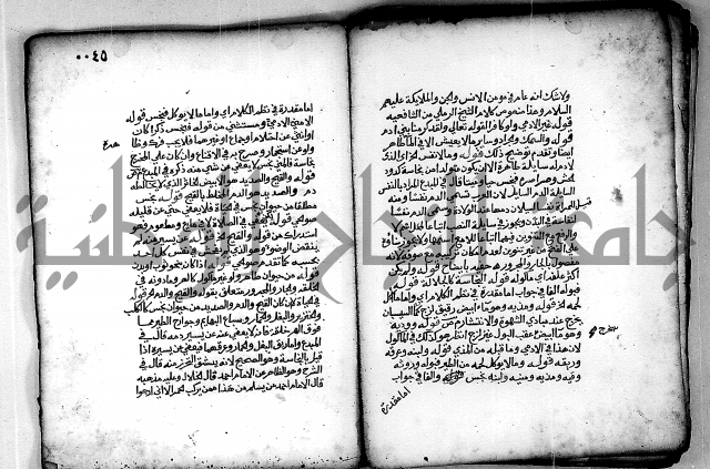 فقة من مخطوطات مسجد الحاج نمر النابلسي 