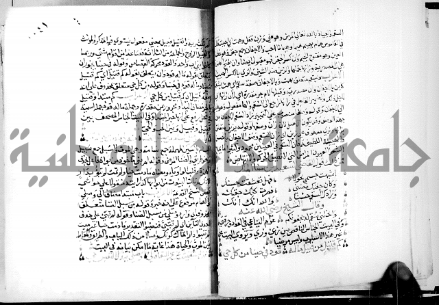 البحر الفائض في شرح ديوان ابن الفارض البوريني 