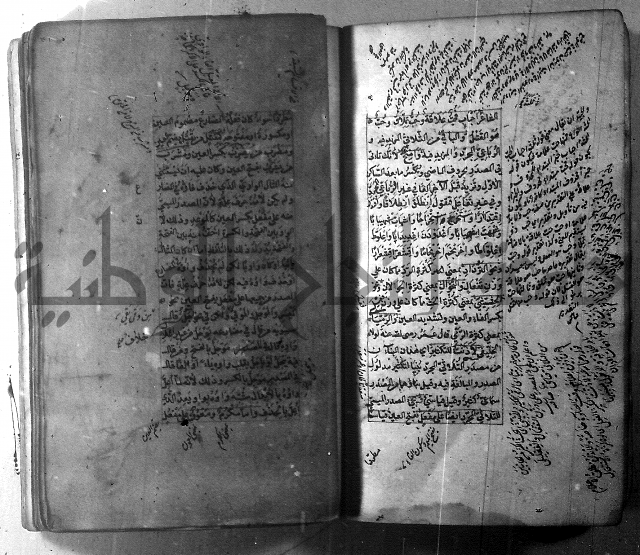 شرح الشافية 