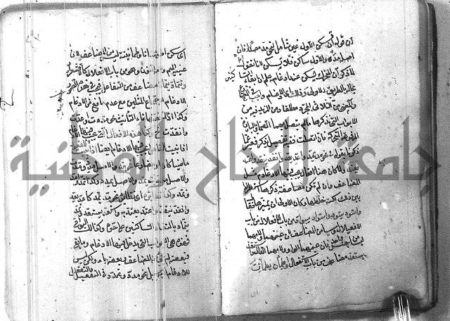 التفنن في الصرف