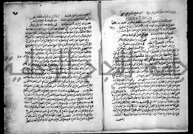 حاشية السجاعي على شرح قطر الندى وبل الصدى لابن هشام