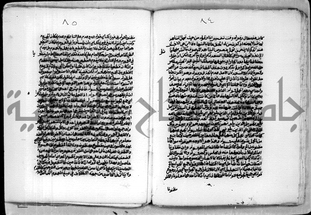 حاشية الشبراملي على شرح الورقات لابن قاسم العبادي