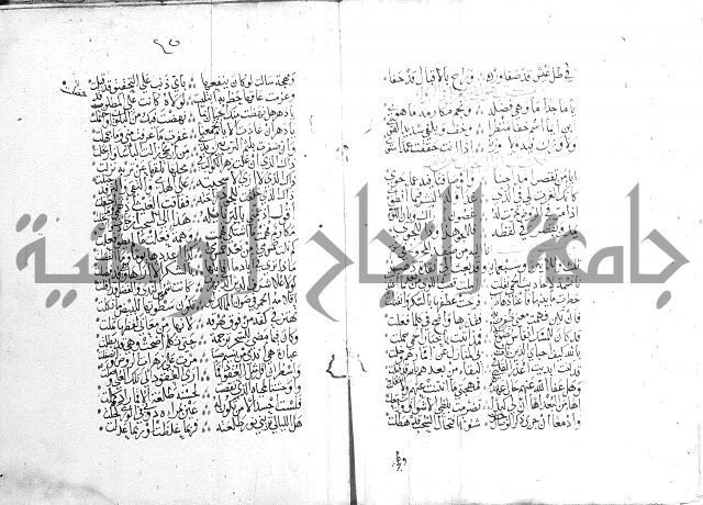 كتاب في الادب 