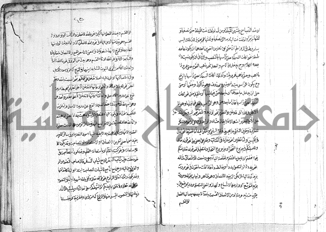 الانتاج المؤلف 