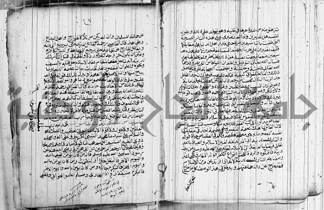 المجالس السنية