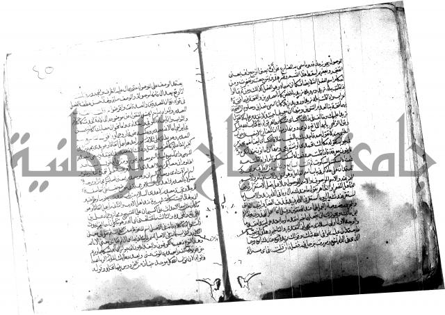 شرح شذور الذهب لابن هشام