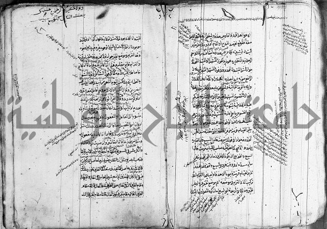 فوائد على الكافية 