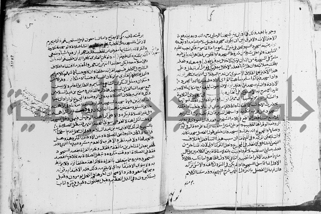 الزيادي على المنهج 