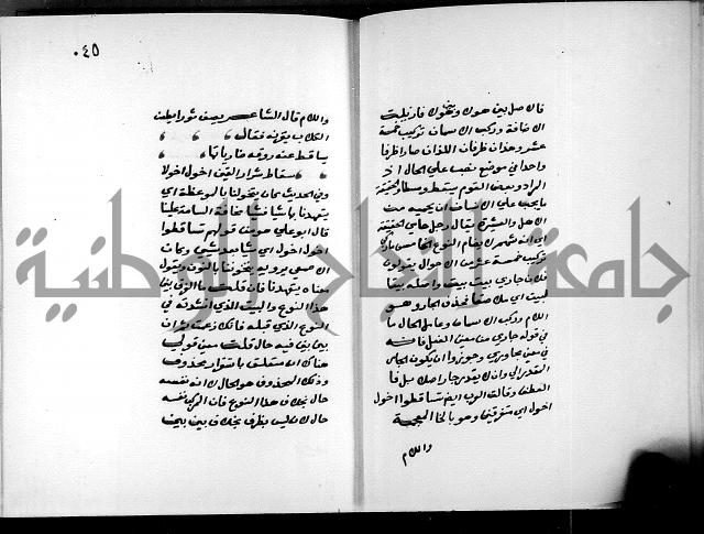 شرح شذور الذهب في معرفة كلام العرب 