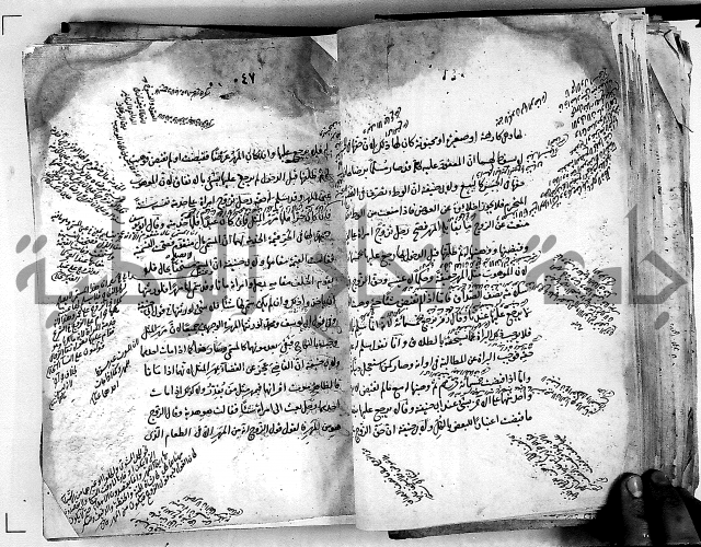 مذهب ابي حنيفة في الفقة