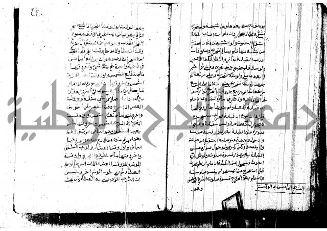 منية المصلي للنصراوي