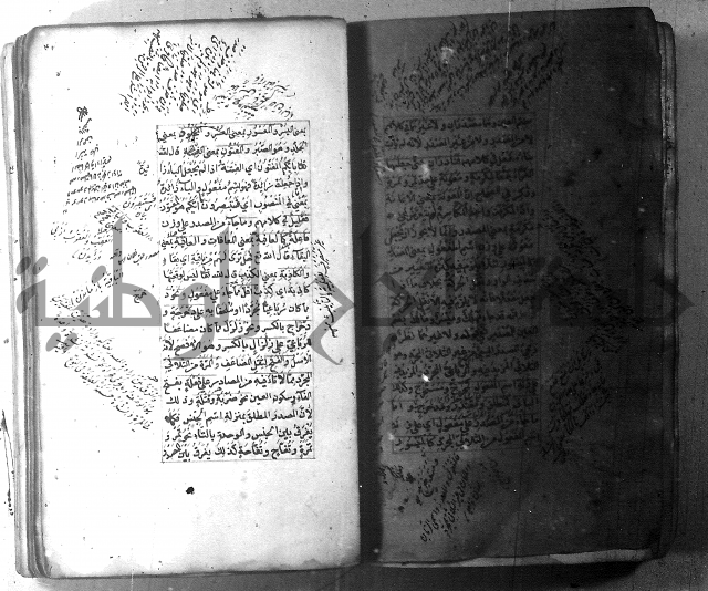 شرح الشافية 