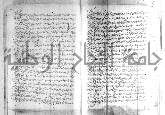 البسيط في الشروط