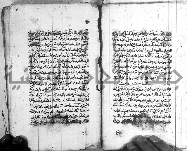 رسالة في الاحتساب