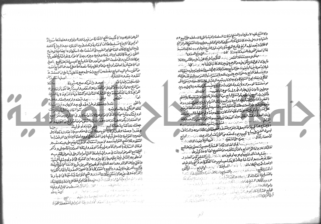 شرح الرملي 2