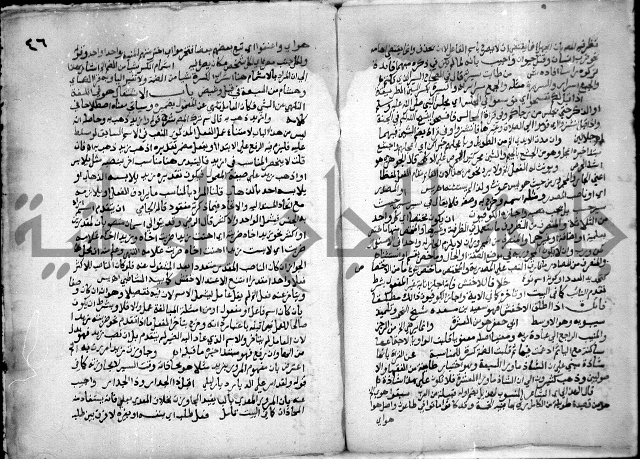 حاشية السجاعي على شرح قطر الندى وبل الصدى لابن هشام