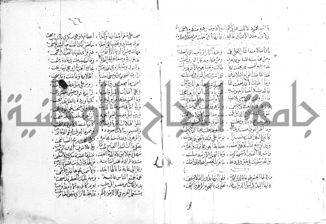 كتاب في الادب 