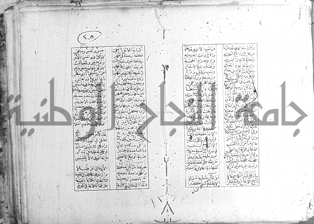 خلاصة التنوير 