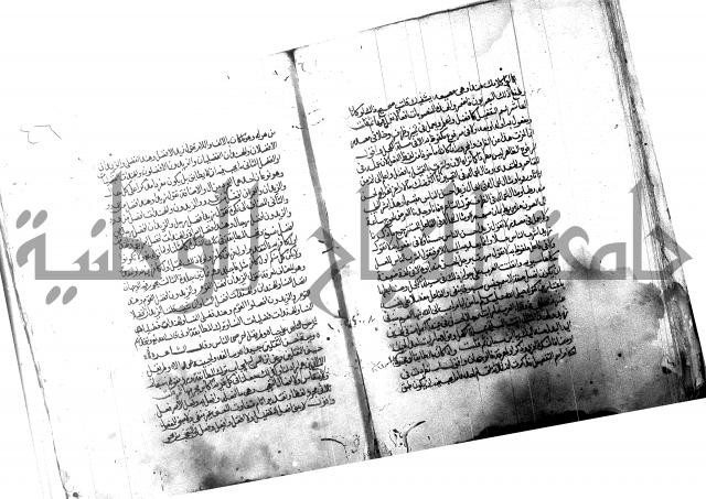 شرح شذور الذهب لابن هشام