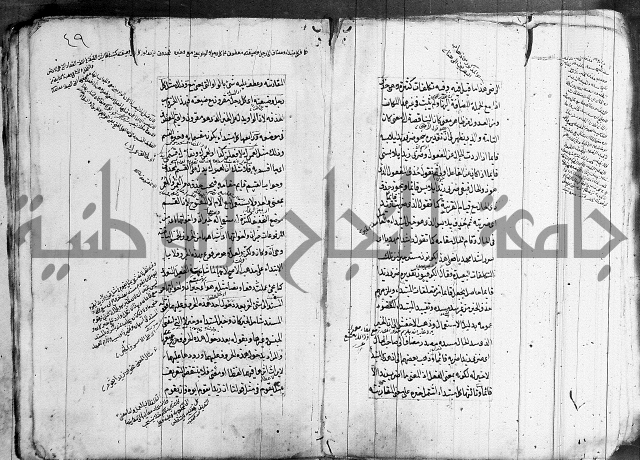 فوائد على الكافية 