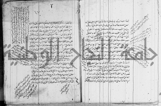 نحو - شرح الكافية