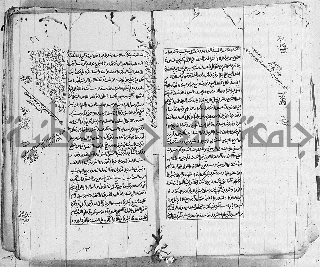 الاشباه والنظائر