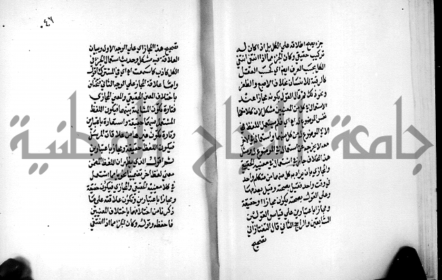 الرسالة البيانية