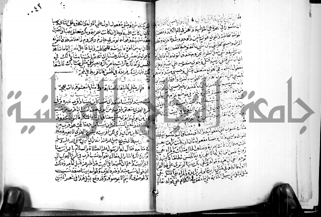 البحر الفائض في شرح ديوان ابن الفارض البوريني 