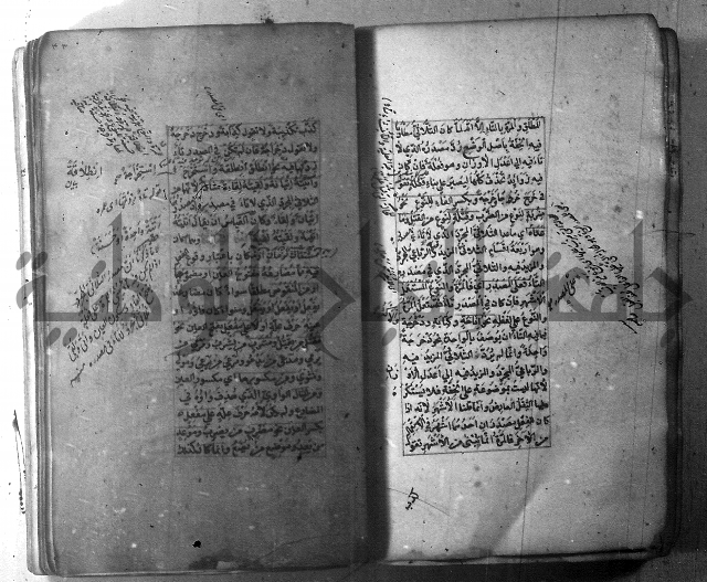 شرح الشافية 