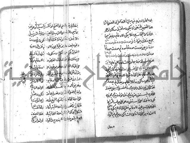 التفنن في الصرف