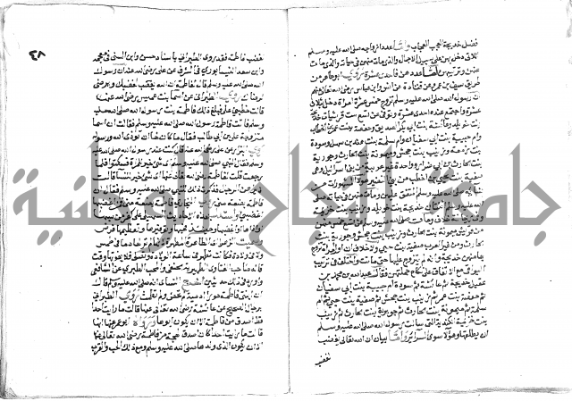 تحفة بن عبد مناف