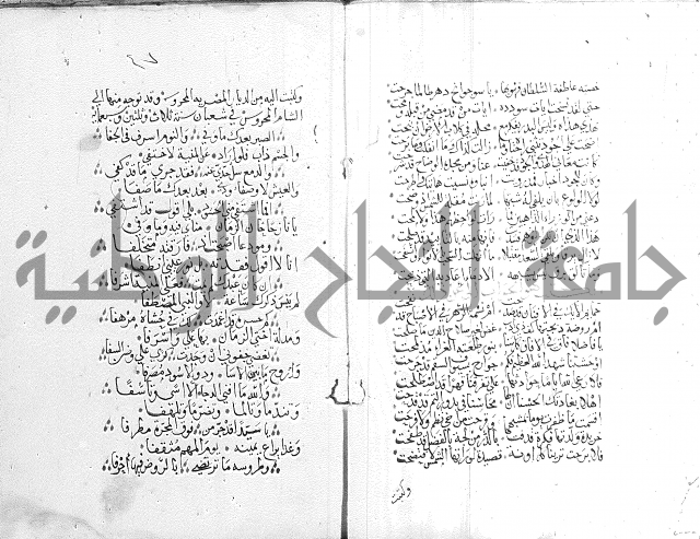 كتاب في الادب 