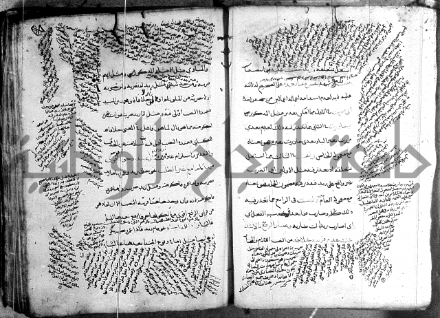 المواشح على الكافية
