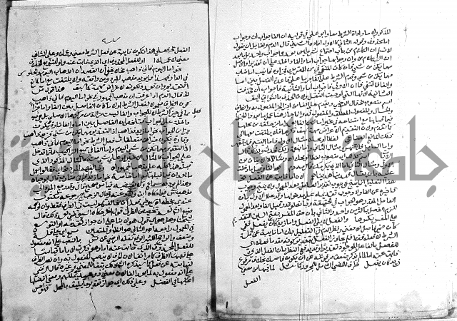 كتاب في اللغة العربية