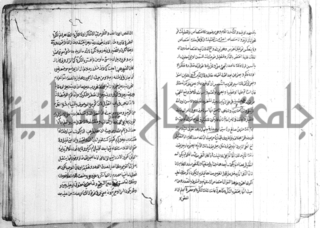 الانتاج المؤلف 