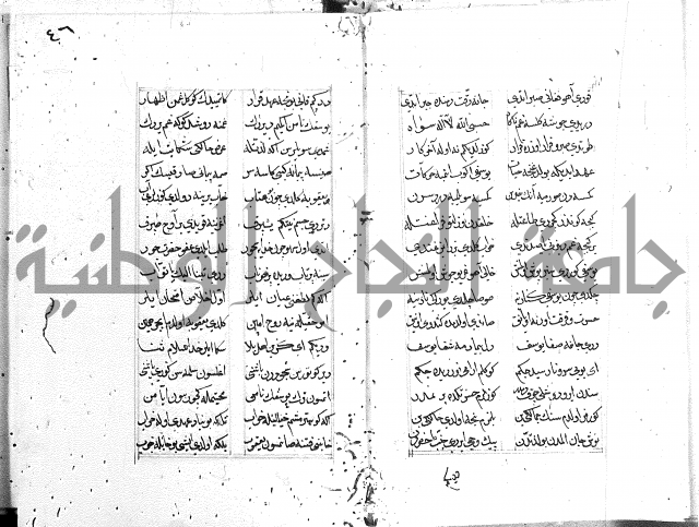 كتاب يوسف زليخا المؤلف 