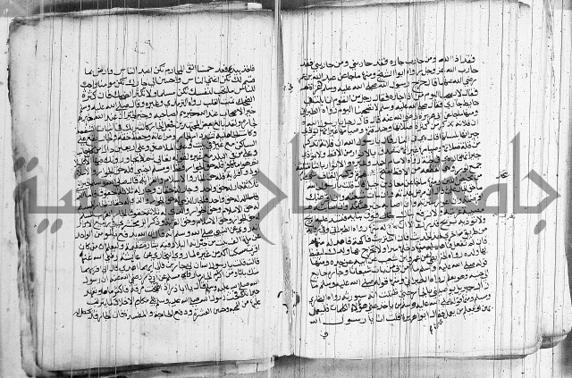 المجالس السنية