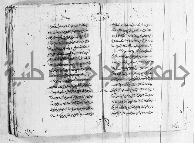 لغة