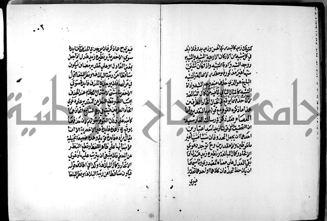 الرسالة البيانية