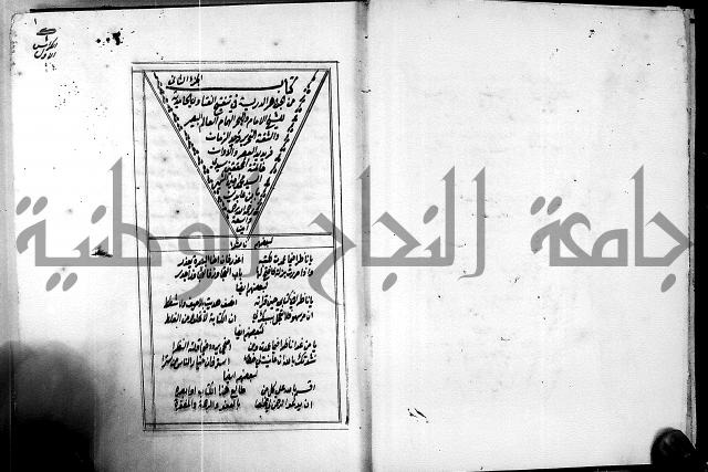 الجواهر الدورية في تنقيح الفتاوى الحامدية ج2 