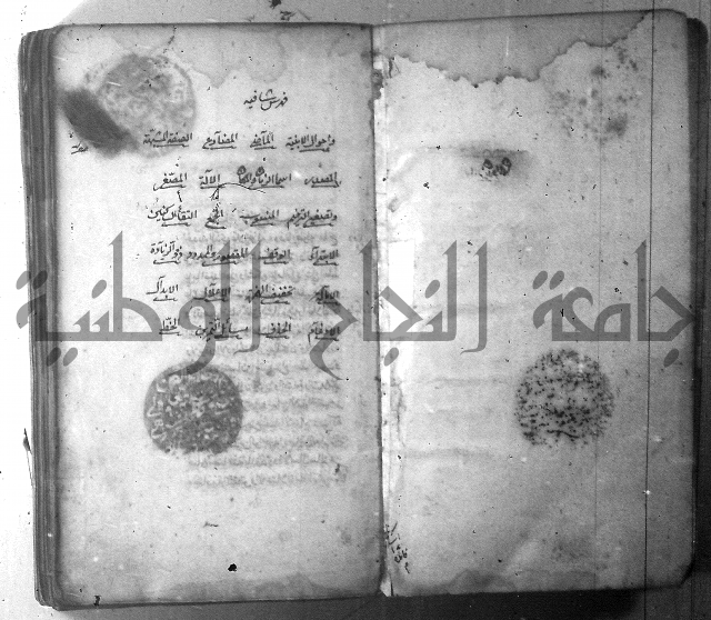 شرح الشافية 