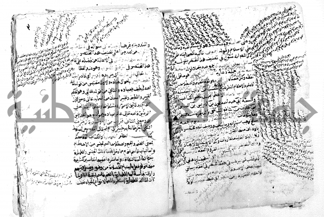 فتح القريب