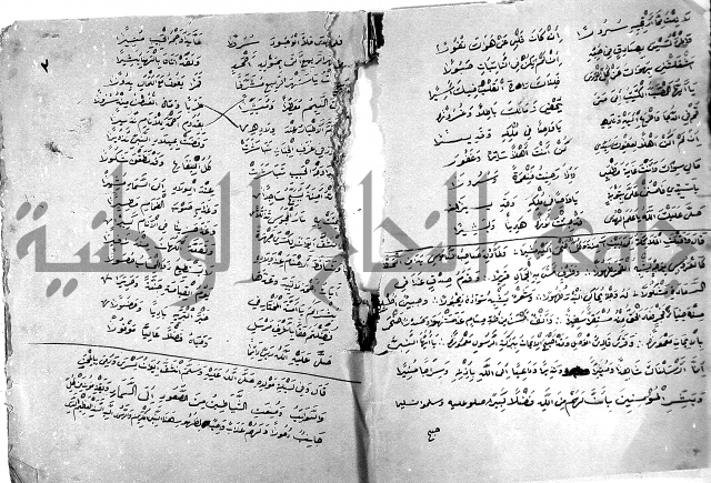 مولد النبي المصطفى