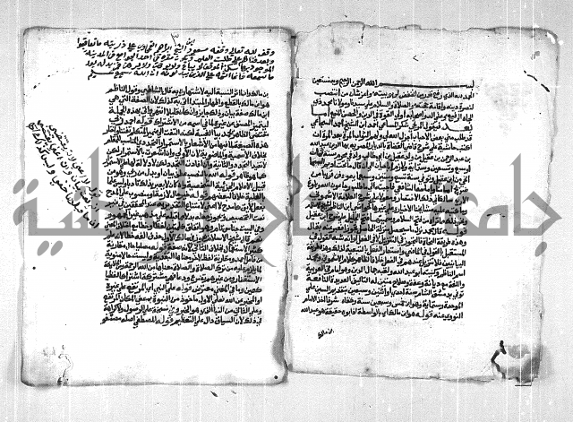 فتح الجليل  على شرح ابن عقيل 