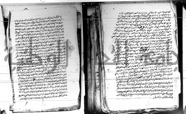 الفتاوى الحسينية